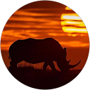 Alan G profile picture